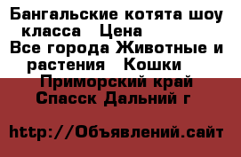 Бангальские котята шоу класса › Цена ­ 25 000 - Все города Животные и растения » Кошки   . Приморский край,Спасск-Дальний г.